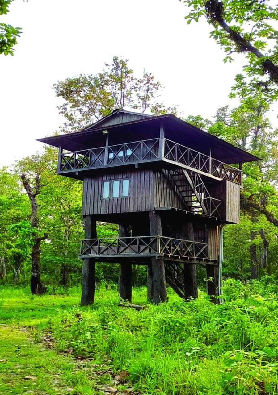 Wild Horizons Guest House Саураха Экстерьер фото